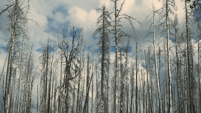 Exercise - professional stock photography