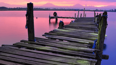 Gym - professional stock photography