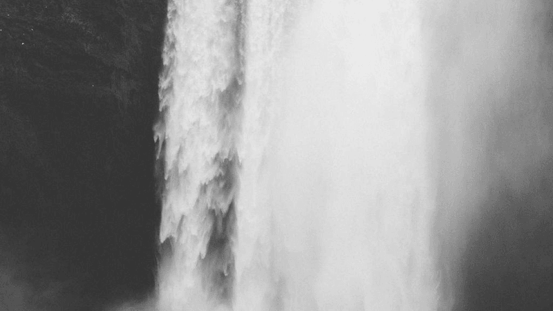 Nature Walk - professional stock photography
