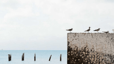 Stretching - professional stock photography