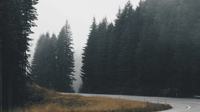 Stretching - professional stock photography