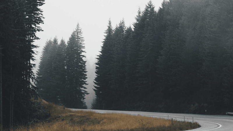 Stretching - professional stock photography