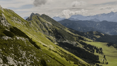 Therapy - professional stock photography