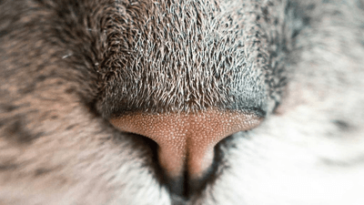 Water - professional stock photography