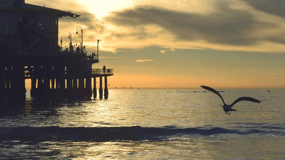 Wellness - professional stock photography