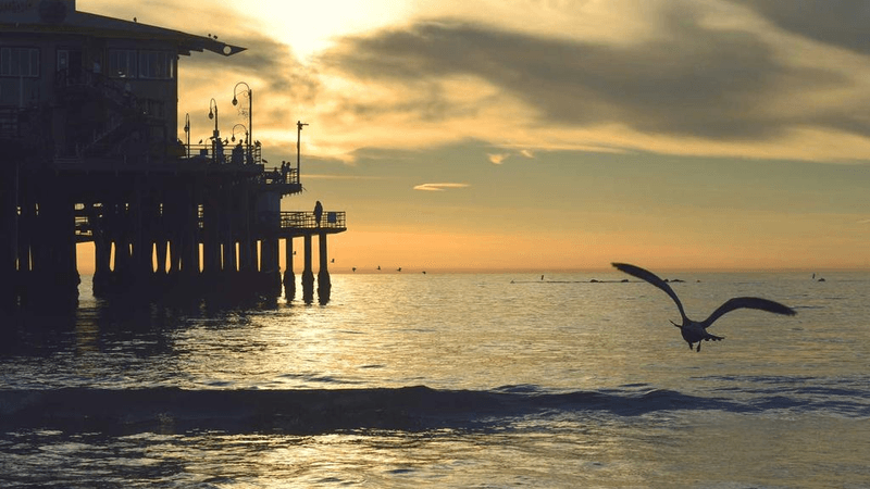 Wellness - professional stock photography