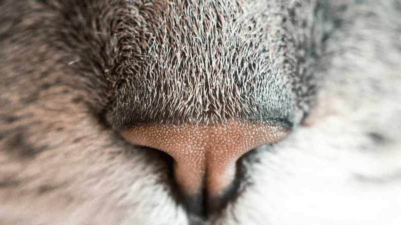 Yoga - professional stock photography